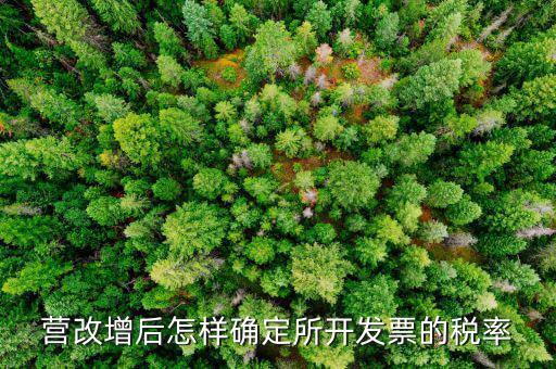 開票時稅率如何確認(rèn)，發(fā)票的稅是怎么算的是不是數(shù)額越大要繳稅的百分比就越大比
