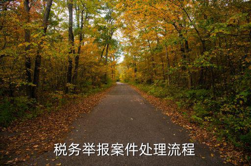 稅務(wù)局如何受理舉報，怎么投訴國稅工作人員 這5個渠道都可以進(jìn)行投訴