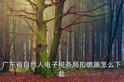廣東省自然人電子稅務局扣繳端怎么下載