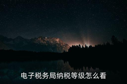a級納稅人如何查詢，電子稅務(wù)局納稅等級怎么看
