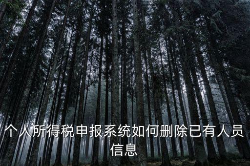 金三系統(tǒng)個(gè)稅申報(bào)人員如何刪除，如何刪掉個(gè)人所得稅人員信息