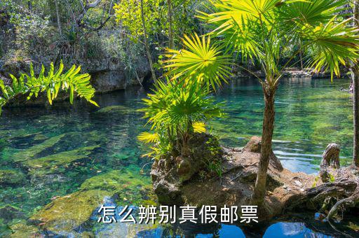 如何查油票的真?zhèn)?，到底怎樣才能辨別鑒定郵票的真假呢