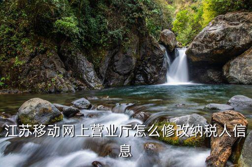 如何更改涉稅信息里的辦稅人，已經(jīng)離職實(shí)名認(rèn)證的辦稅信息如何更改