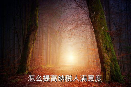 如何提升納稅人獲得感，怎么提高納稅人滿意度
