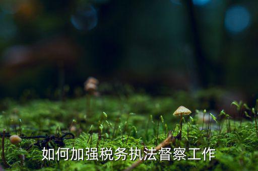 如何加強(qiáng)稅務(wù)系統(tǒng)巡視巡察，如何加強(qiáng)稅務(wù)執(zhí)法督察工作