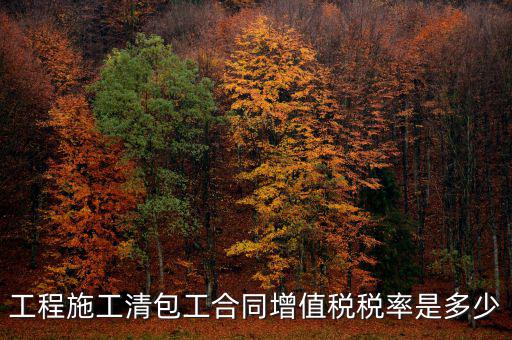 清包工 如何稅務(wù)，一般納稅人去國(guó)稅說(shuō)明是清包工怎么寫(xiě)說(shuō)明