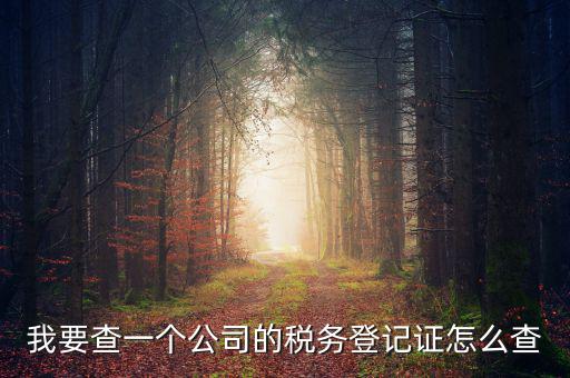 如何查企業(yè)的稅務(wù)登記證號(hào)，公司的稅務(wù)登記證號(hào)怎么查詢