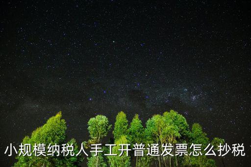 小規(guī)模納稅人開票系統(tǒng)如何抄報稅，小規(guī)模稅款控盤如何抄報稅