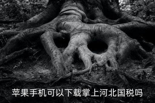 河北掌上國(guó)稅如何注冊(cè)，蘋果手機(jī)可以下載掌上河北國(guó)稅嗎