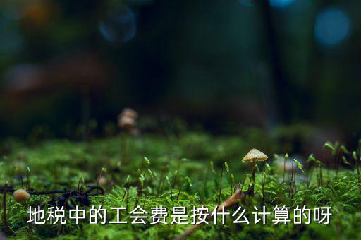 交地稅時的工會經費如何計算方法，地稅中的工會費是按什么計算的呀