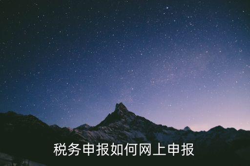 網(wǎng)上系統(tǒng)如何申報稅，稅務(wù)申報如何網(wǎng)上申報