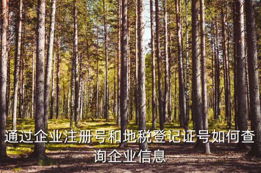 企業(yè)稅務(wù)信息如何查詢，通過企業(yè)注冊號(hào)和地稅登記證號(hào)如何查詢企業(yè)信息