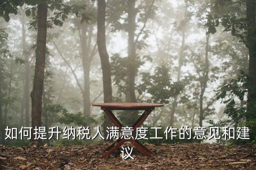 如何提升納稅人滿意度工作的意見(jiàn)和建議