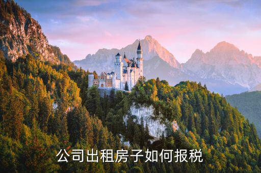出租動產(chǎn)該如何申報稅，公司出租房子如何報稅