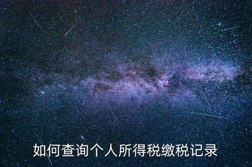 上海地稅局如何查個人所得稅繳稅記錄，上海市工資個稅繳納記錄如何查詢
