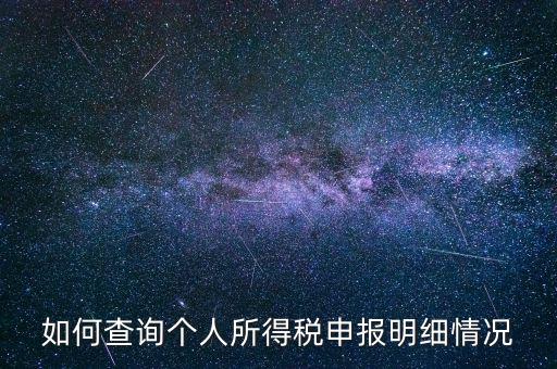 如何查詢(xún)個(gè)人所得稅申報(bào)明細(xì)情況