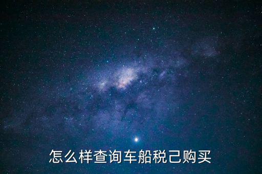 怎么樣查詢車(chē)船稅己購(gòu)買(mǎi)