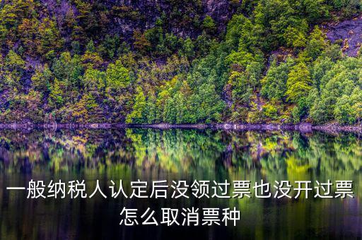 一般納稅人認定后沒領(lǐng)過票也沒開過票怎么取消票種