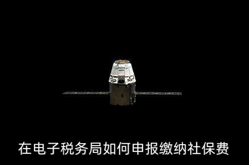 在電子稅務局如何申報繳納社保費