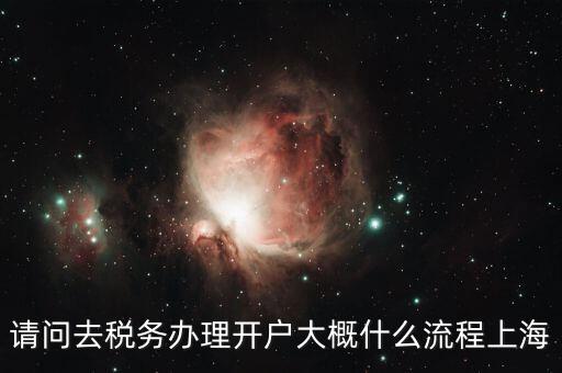 請(qǐng)問去稅務(wù)辦理開戶大概什么流程上海
