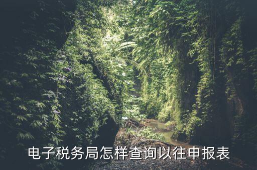 寧波地稅如何查往期申報(bào)信息，怎樣查看地稅網(wǎng)上申報(bào)記錄