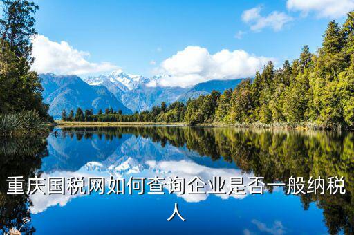 如何查詢?cè)鲋刀愐话慵{稅人資格，重慶國(guó)稅網(wǎng)如何查詢企業(yè)是否一般納稅人