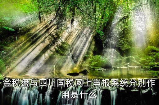 四川國稅如何網(wǎng)上申報，四川省地方稅務局網(wǎng)上怎么申報系統(tǒng)