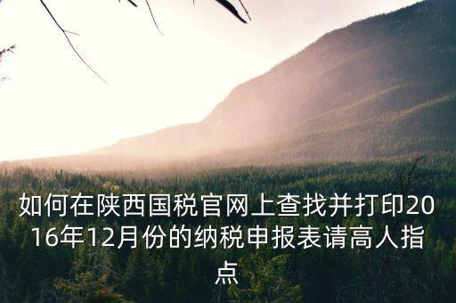 如何在陜西國稅官網(wǎng)上查找并打印2016年12月份的納稅申報表請高人指點(diǎn)