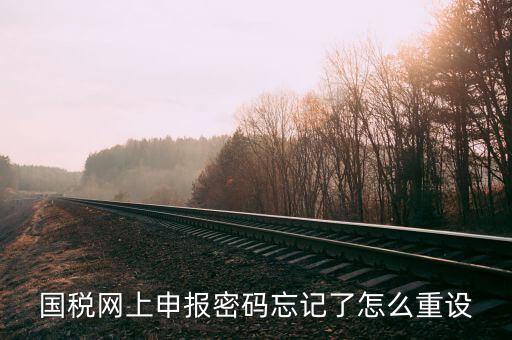 網(wǎng)上稅務(wù)局登錄密碼如何重置，國(guó)稅網(wǎng)上申報(bào)密碼忘記了怎么重設(shè)