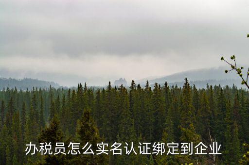 重慶稅務(wù)局辦稅人員如何綁定，個人怎么綁定企業(yè)辦稅員