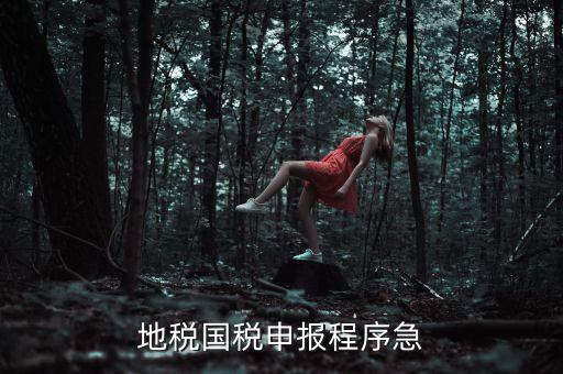 國稅地稅如何辦理流程，我想知道申報國稅地稅的流程包括前期需要什么資料期間如何