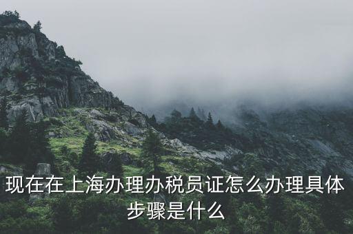 如何成為辦稅員，成為稅務(wù)人員的基本要求是什么