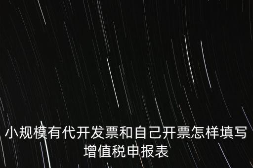 代開專票申報(bào)時(shí)如何填寫，自助開具增值稅專用發(fā)票申報(bào)單怎么填