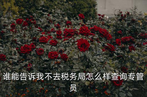 如何查納稅人的稅管員，誰能告訴我不去稅務局怎么樣查詢專管員