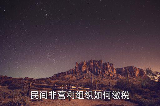 非營利組織如何納稅，民間非營利組織如何繳稅