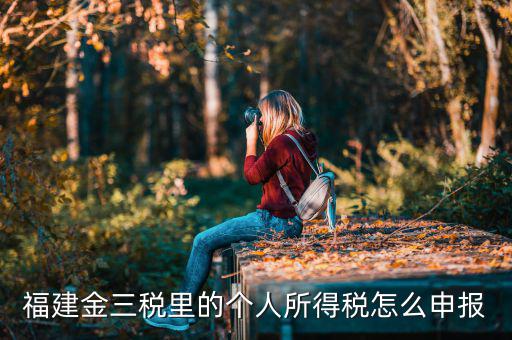福建省個(gè)稅如何申報(bào)，福建金三稅里的個(gè)人所得稅怎么申報(bào)