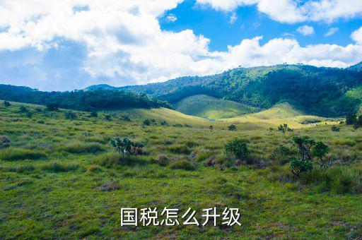 國(guó)稅系統(tǒng)如何適應(yīng)新時(shí)代，如何做好新形勢(shì)下的國(guó)稅工作