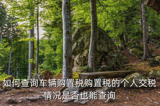 如何查汽車購置稅，我想查查我的車輛購置稅是多少怎么查