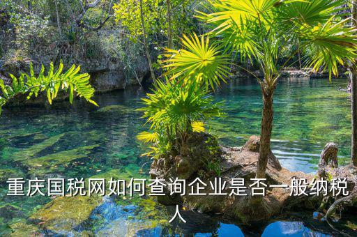如何在國(guó)稅網(wǎng)查是否一般納稅人，怎么在網(wǎng)上查一個(gè)單位是不是一般納稅人