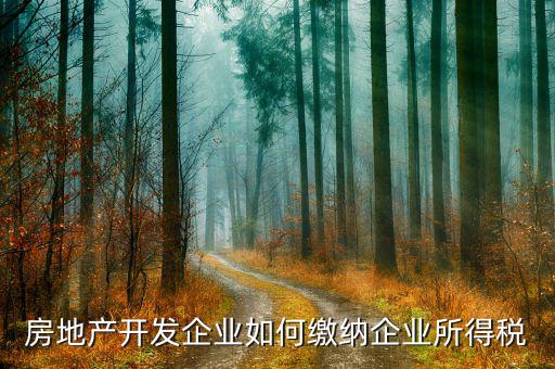 房地產(chǎn)企業(yè)異地開發(fā)如何納稅，急房地產(chǎn)開發(fā)企業(yè)如何交稅