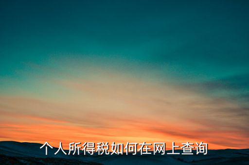 天津如何查個(gè)人所得稅，個(gè)人所得稅如何在網(wǎng)上查詢
