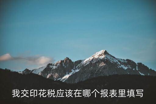網(wǎng)上印花稅表如何填寫，印花稅申報報表要怎么填啊