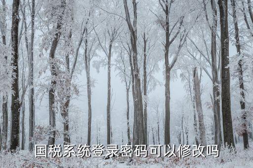 如何修改納稅申報密碼，金稅三期怎樣修改報稅密碼