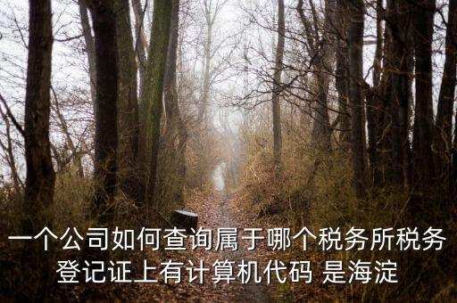 一個公司如何查詢屬于哪個稅務(wù)所稅務(wù)登記證上有計算機代碼 是海淀