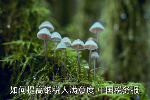 地稅如何提升納稅人滿意度，如何提高納稅人滿意度 中國稅務報