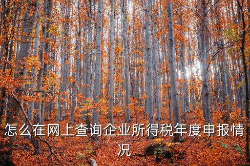 企業(yè)稅務(wù)信息如何查詢系統(tǒng)，通過企業(yè)注冊(cè)號(hào)和地稅登記證號(hào)如何查詢企業(yè)信息