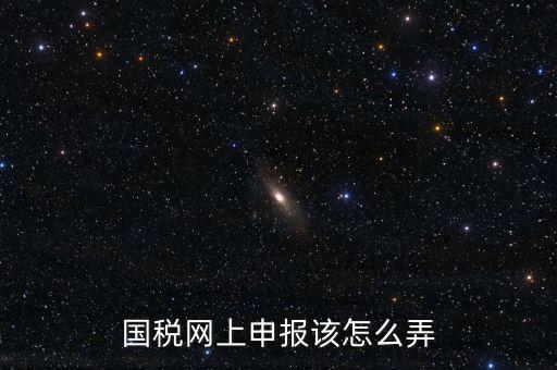 國(guó)稅新系統(tǒng)如何申報(bào)，國(guó)稅網(wǎng)上申報(bào)該怎么弄