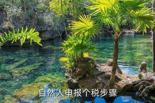 如何使用自然人納稅系統(tǒng)，新辦企業(yè)怎樣登錄自然人電子稅務局扣繳端