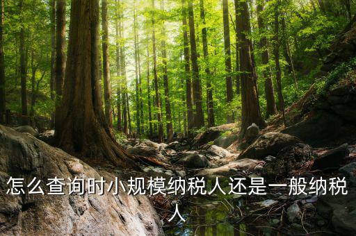 如何查詢成為納稅人時間，怎么查詢時小規(guī)模納稅人還是一般納稅人