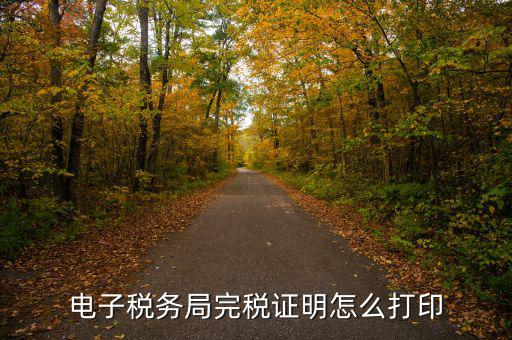 福建省網(wǎng)上稅務(wù)局如何打印，電子稅務(wù)局完稅證明怎么打印